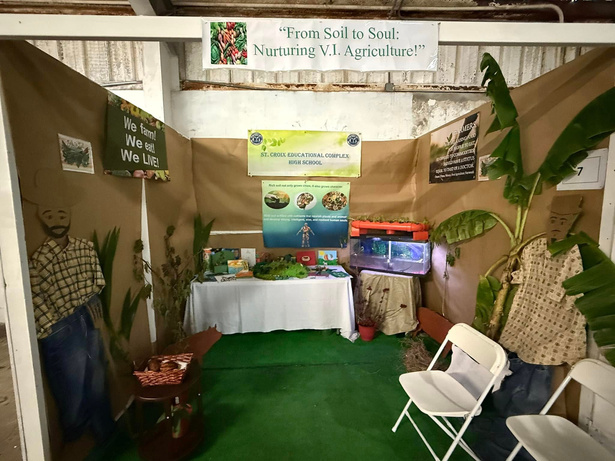 An exhibition booth with local crafts and plants at the Agricultural Fair.
