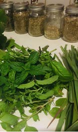 fresh herbs and dried herbal products in jars from Braithwaite's Garden Farm.